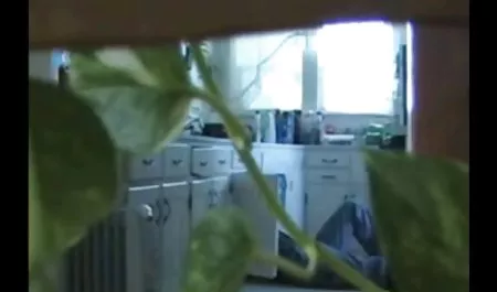 小巧的Stoya性交在浴室里