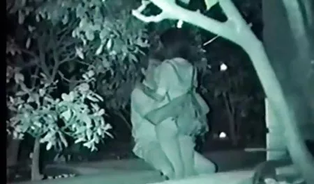 澳大利亚女孩在她的猫得到暨